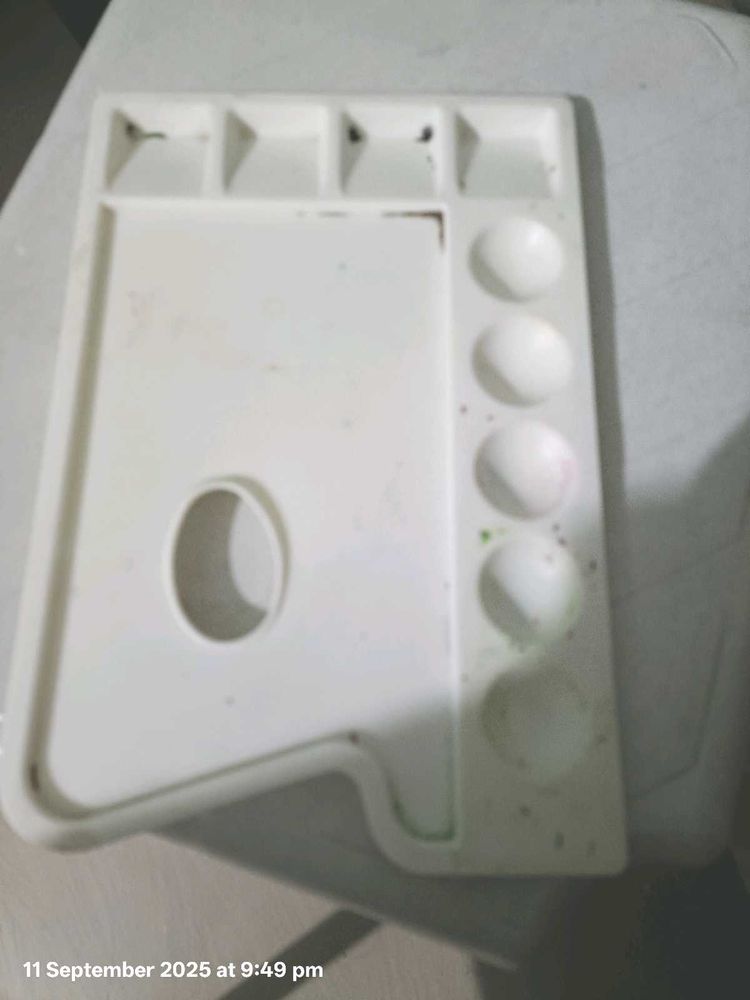 Artist&#39;s Palette