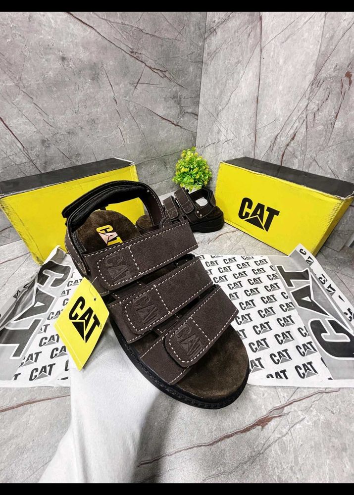 Cat Sandall High Hill