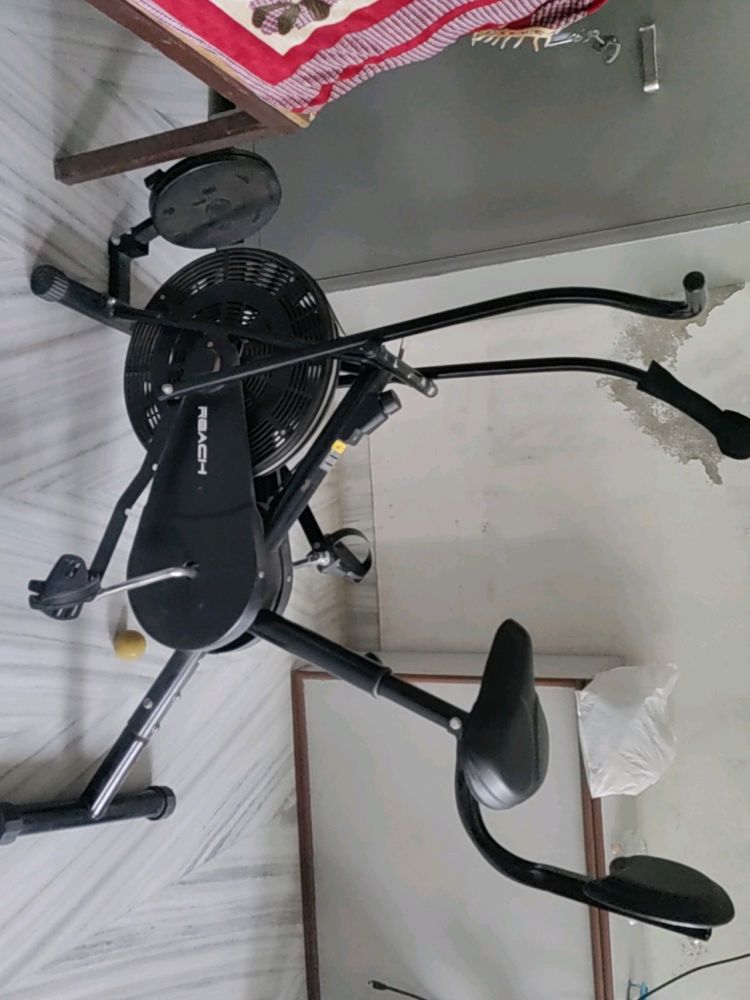 Exercise Cycle