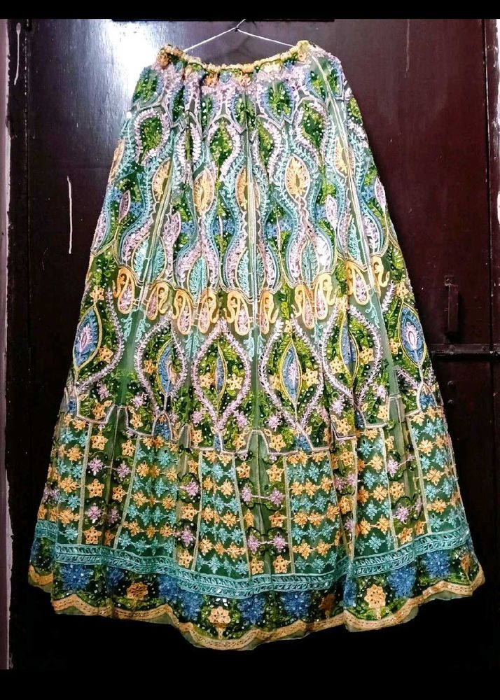 Multicolour Lehenga Choli✨