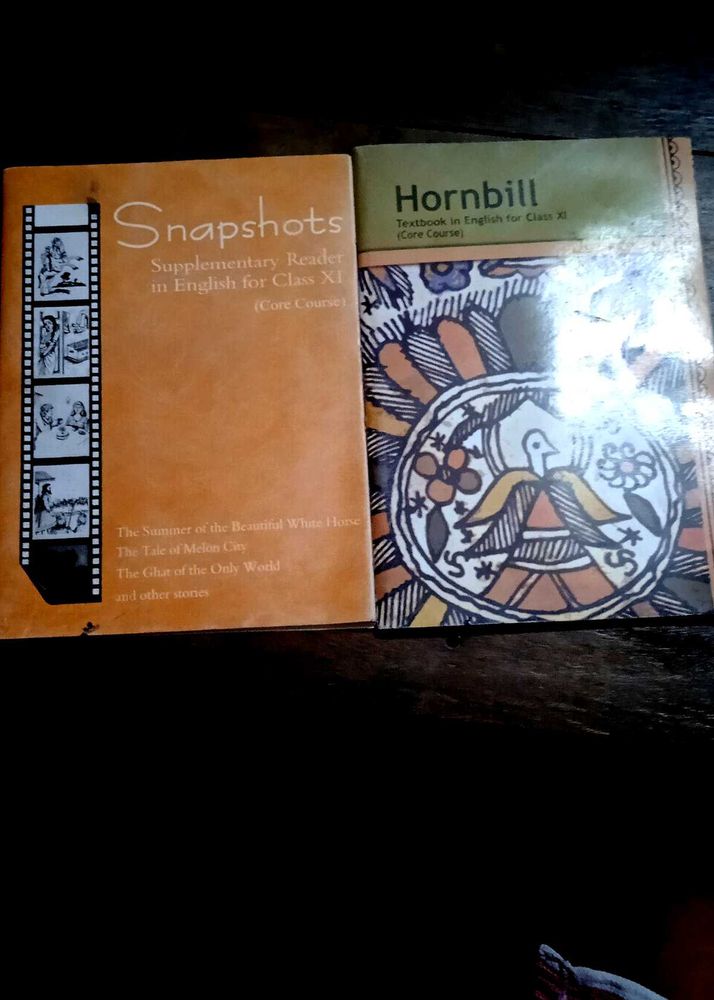 English ncert 11 class books
