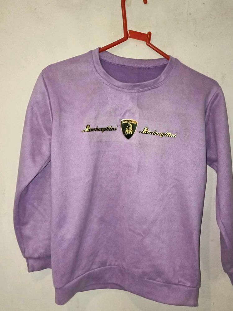 Winter Sweatshirt