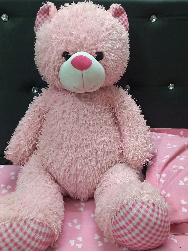 Teddy Bear