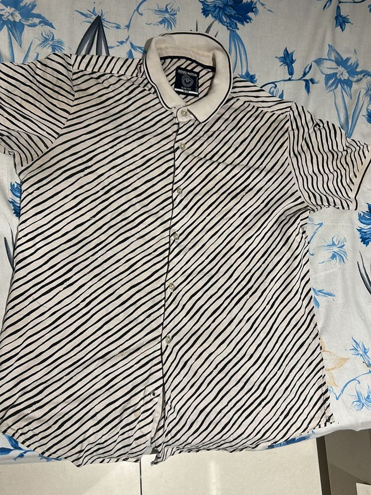 Zebra Print Shirt