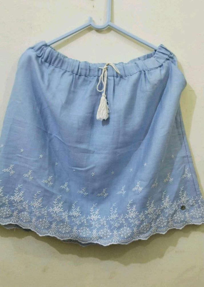 Ethics Skirt