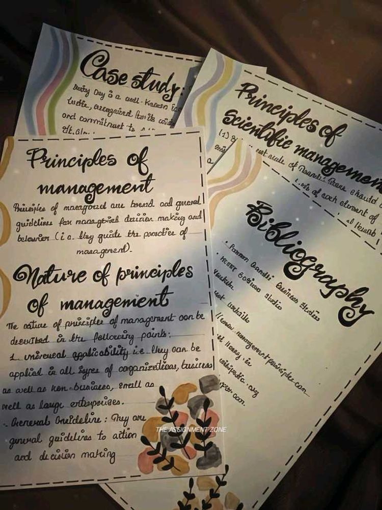 Handwritten Project Work