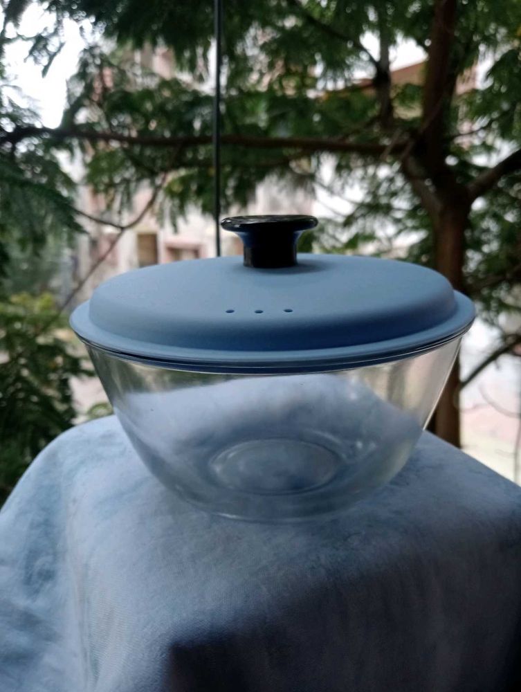 Apex Medium Sized Bowl (1 Pc)
