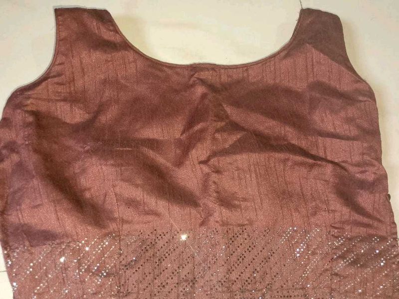 Brown Sleeveless Embellished Blouse And Saree