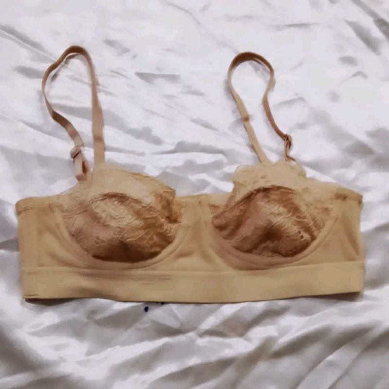 lively  Bra