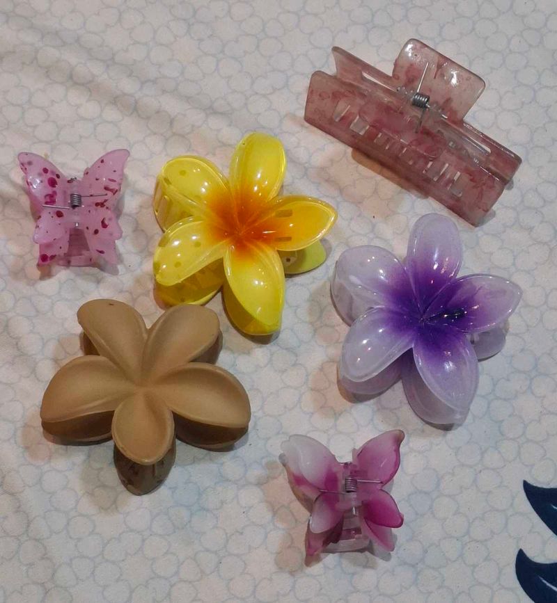 Hair Clip Bundle