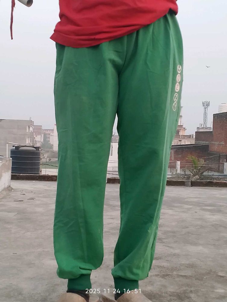 Green Casual Pants