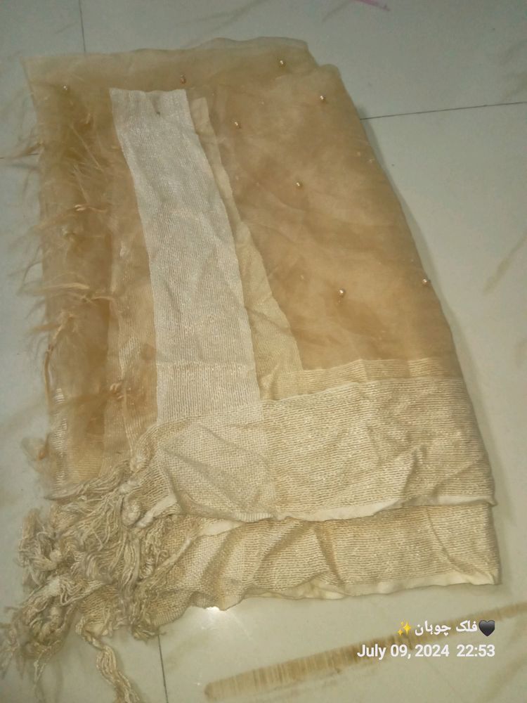 Heavy Pearl Work Dupatta Net Tissue Material