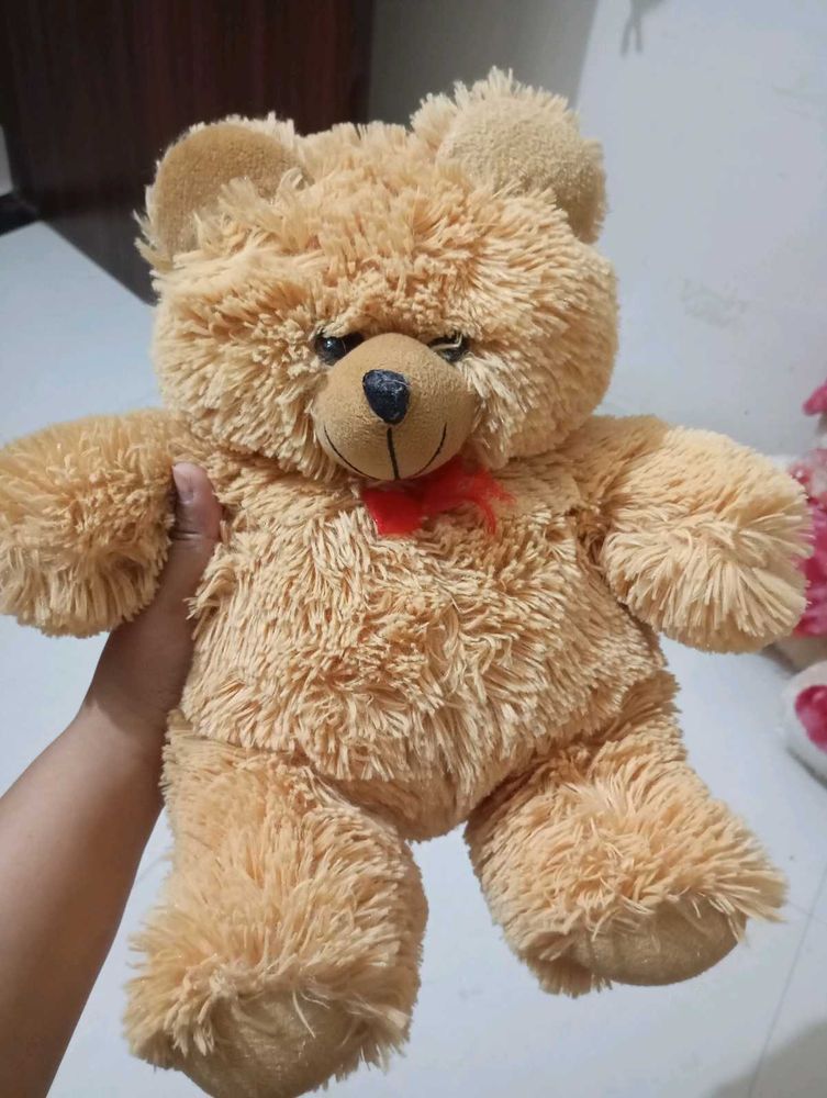 Teddy For Kids