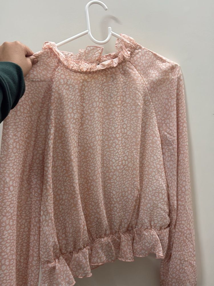 Ruffled Sheer Long Sleeve Top