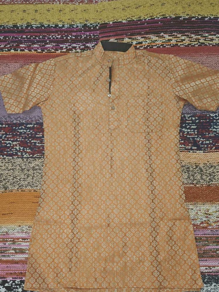 Men's Ethnic Woven Design Kurta