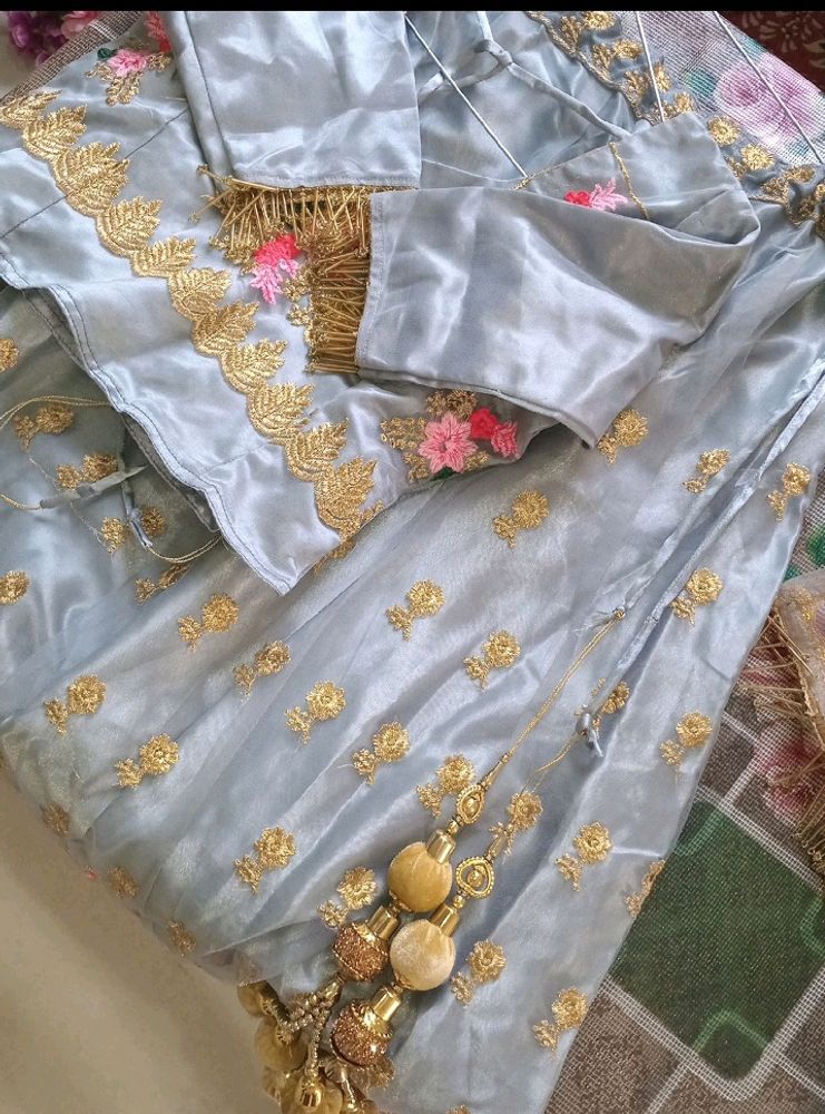 Beautiful Lehenga 😍 Choli With Dupatta