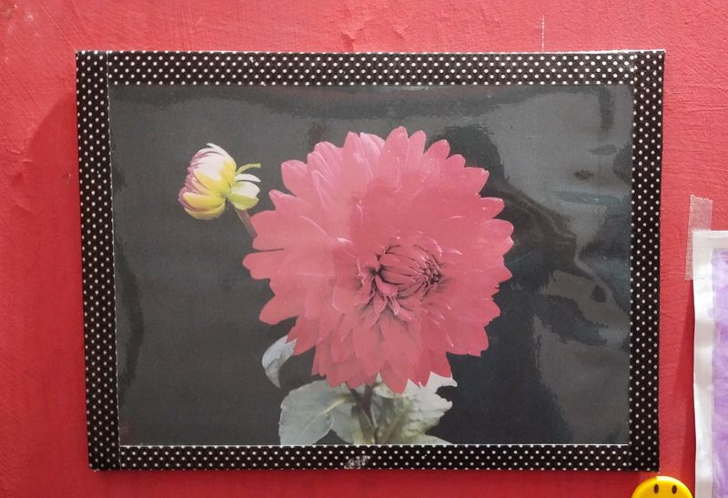 Red Flower Wall Decoration Frame | Wall Frame