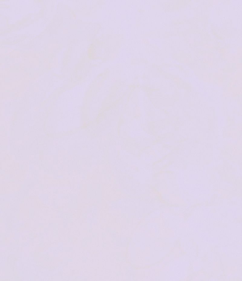 A Man Called Ove | Fiction