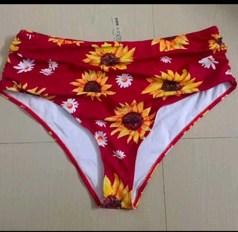 SHIEN Brief