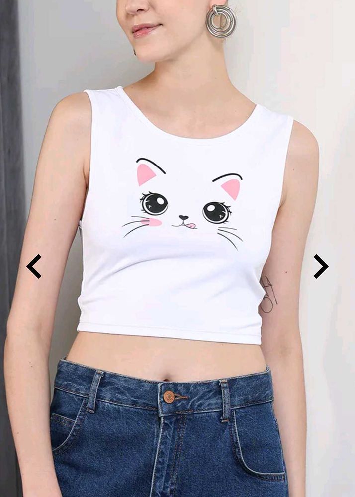 Beautiful Cat 😺 Top 😍