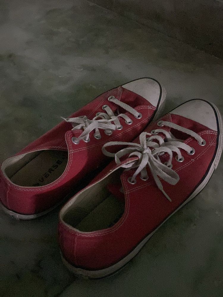 Converse Sneakers