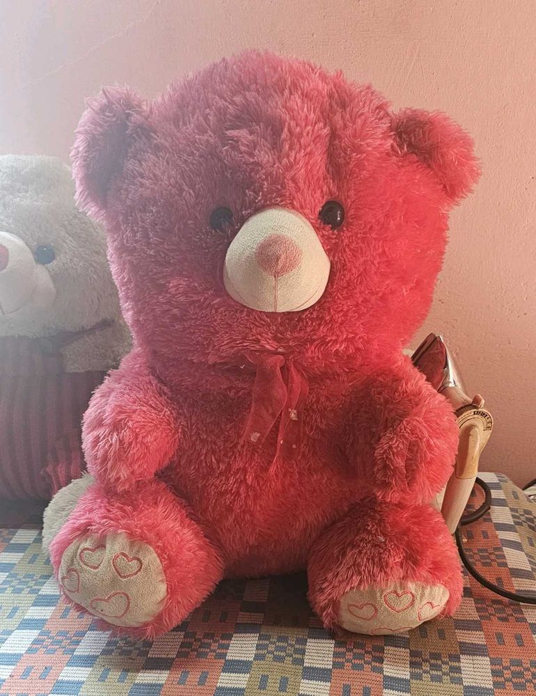 Huge Teddy