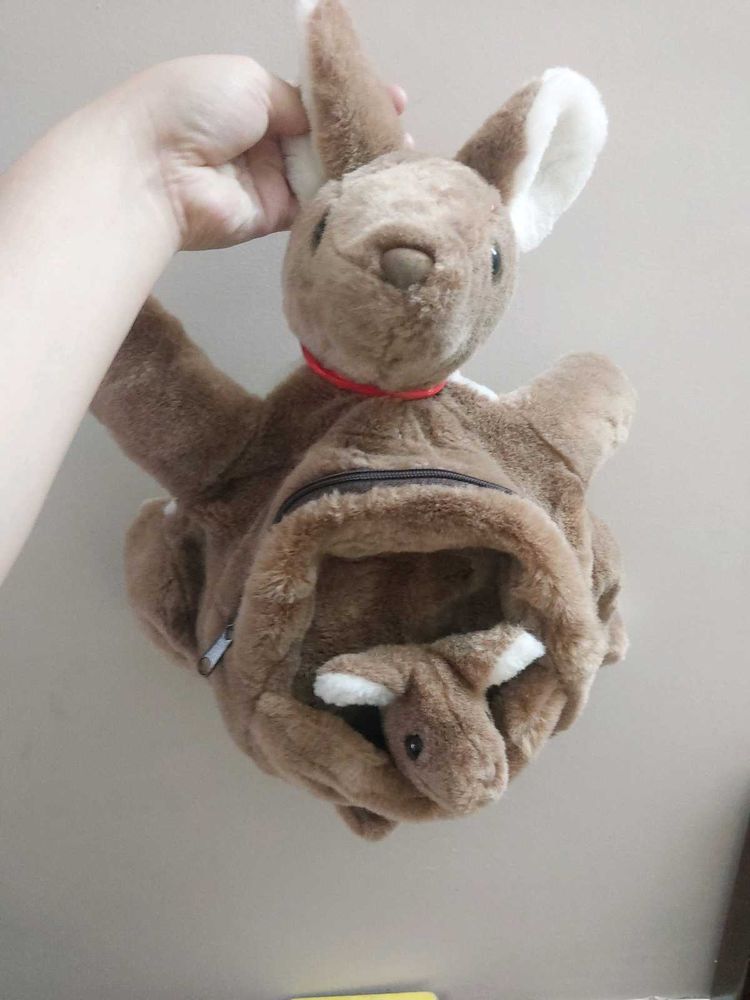 Kangaroo Pouch