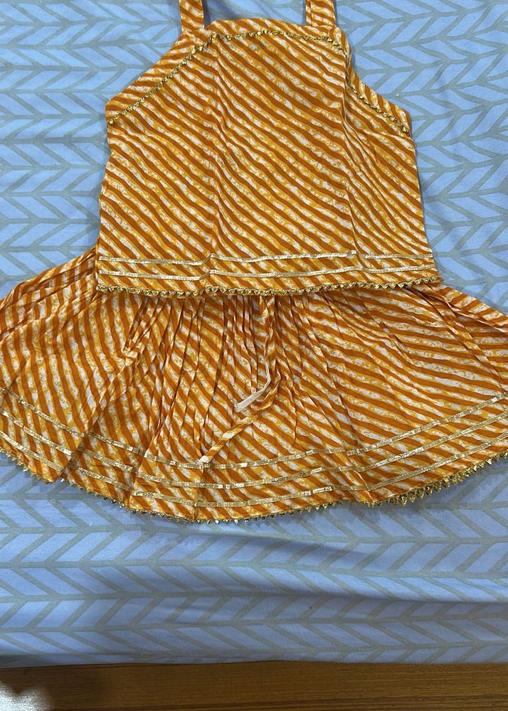 Cute Ethnic Skirt Top Set