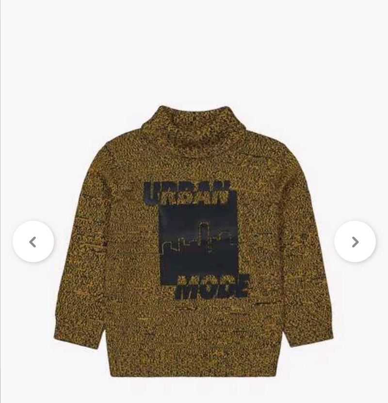 3 To 4 Year Kids Sweatshirt With Hoodie