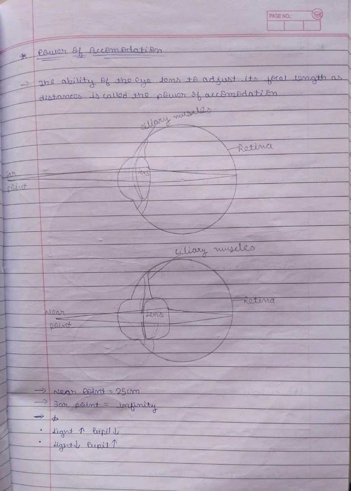 Class 10 Science Complete Study Material