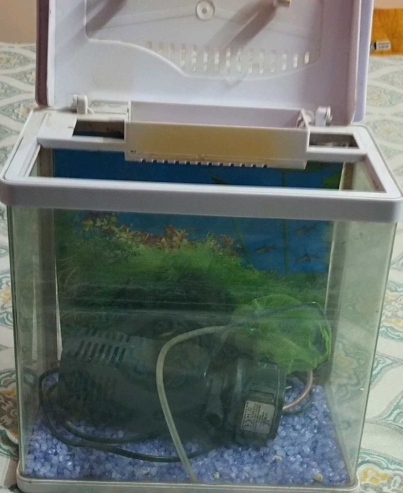 Used Aquarium with filter, stones,
