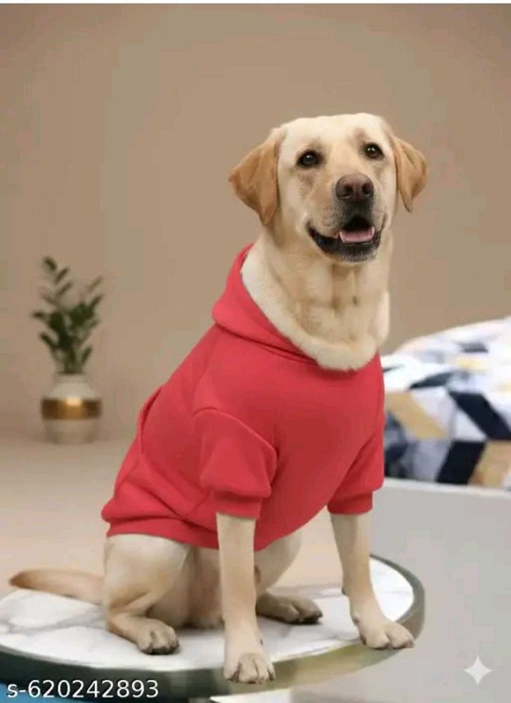Red Dog Hoodie