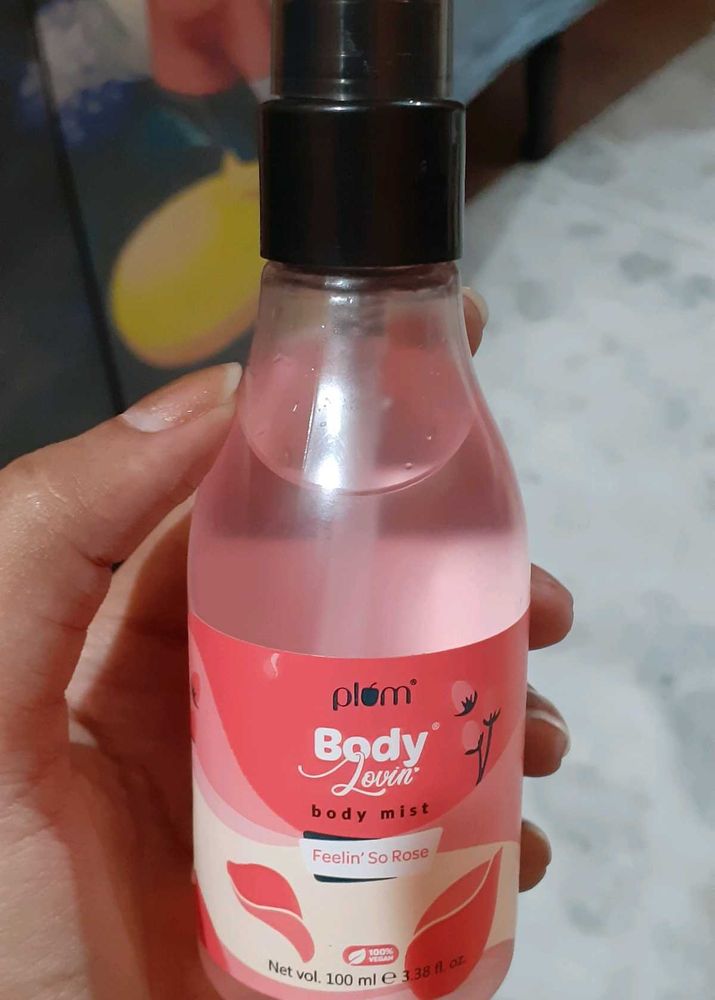 PLUM ROSE MIST &amp; LIPSTICK