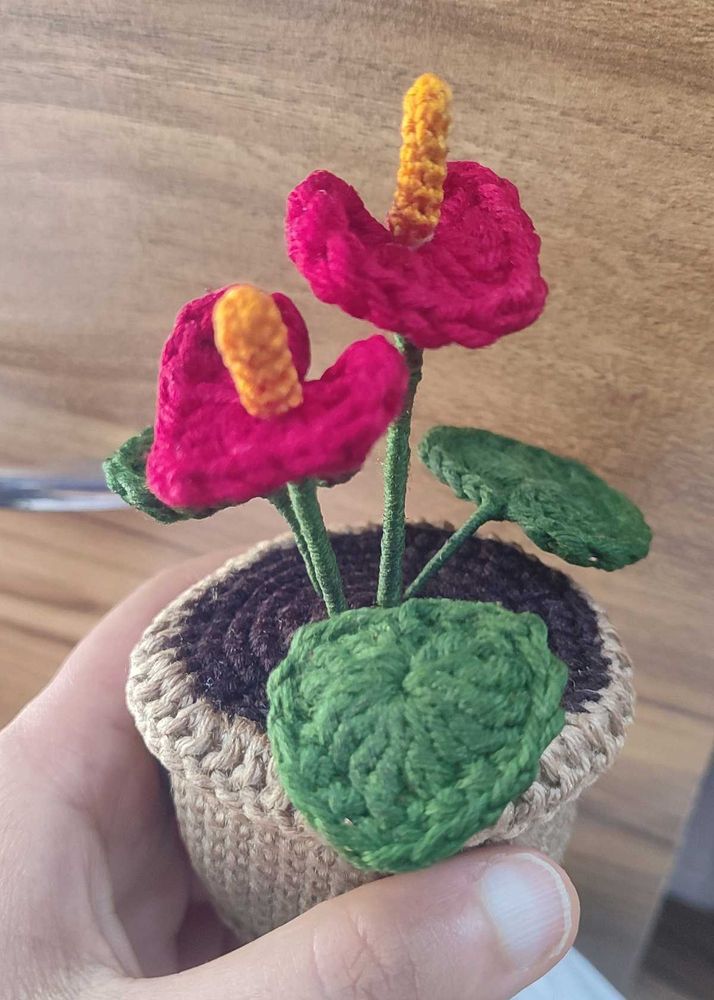 Crocheted Anthurium Plant