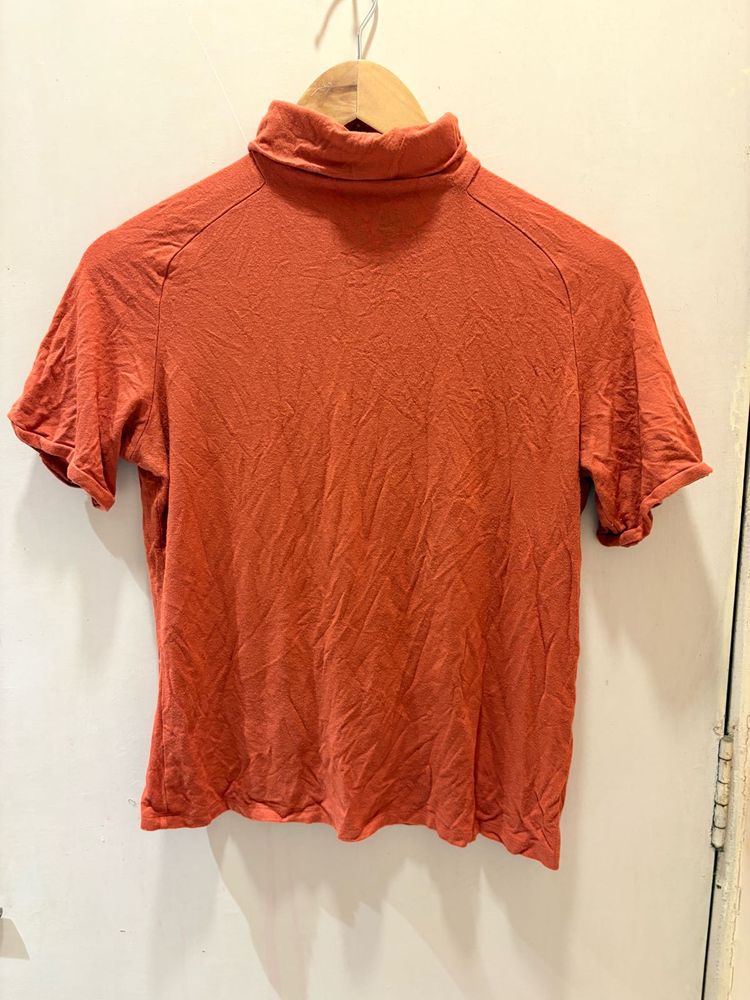 Beautiful Turtleneck Short Sleeve Top