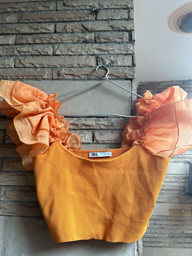 Zara Organza Sleeves Crop Top