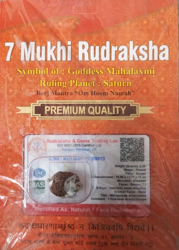 7 Mukhi Rudraksha Pendant