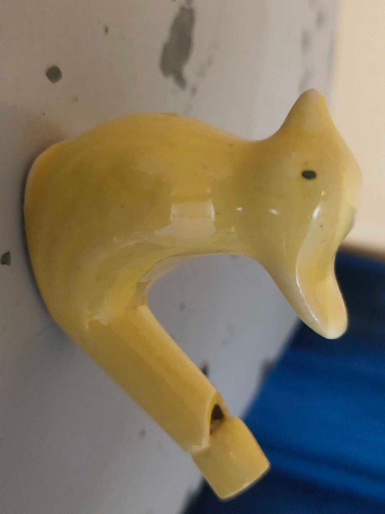 It is a Bird who speak when we pass air from i