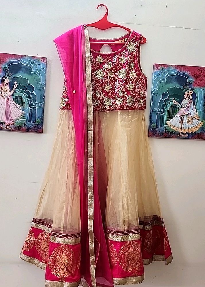 Embroidered Lehenga Choli Set