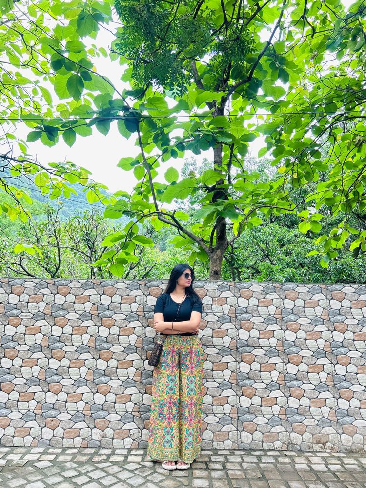Printed Palazzo Pants