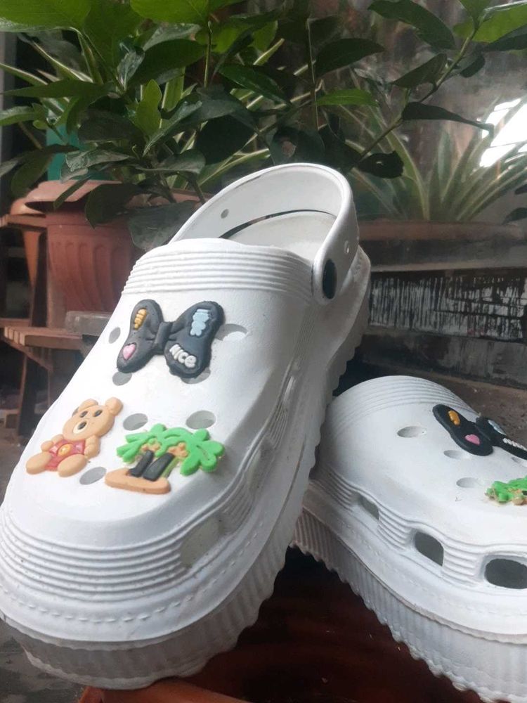 Trendy Crocs