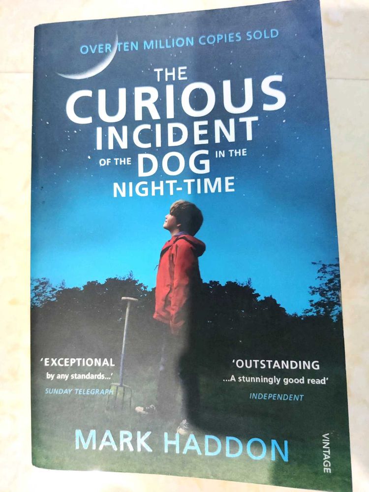 The Curious Incident Book