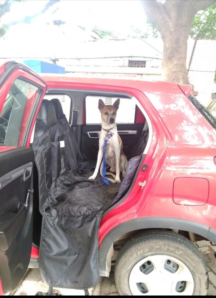 Pet Car Seat Cover