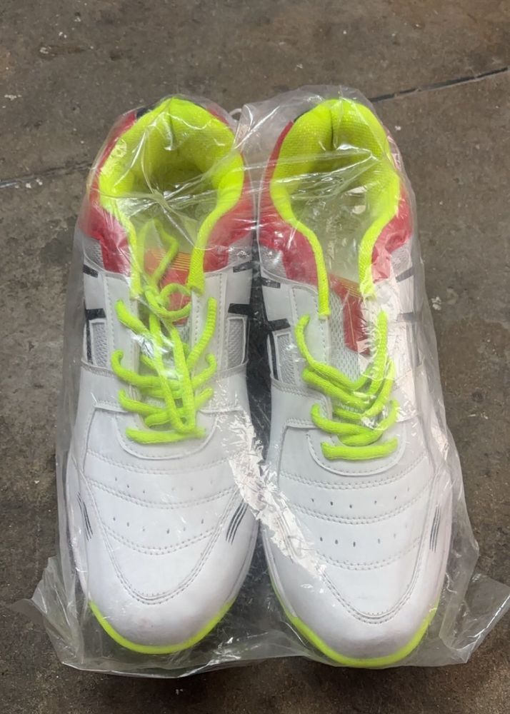 Metal Spikes Cricket Shoes For Men