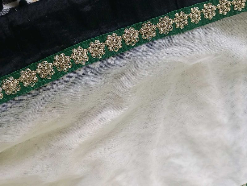 Elegant net Dupatta
