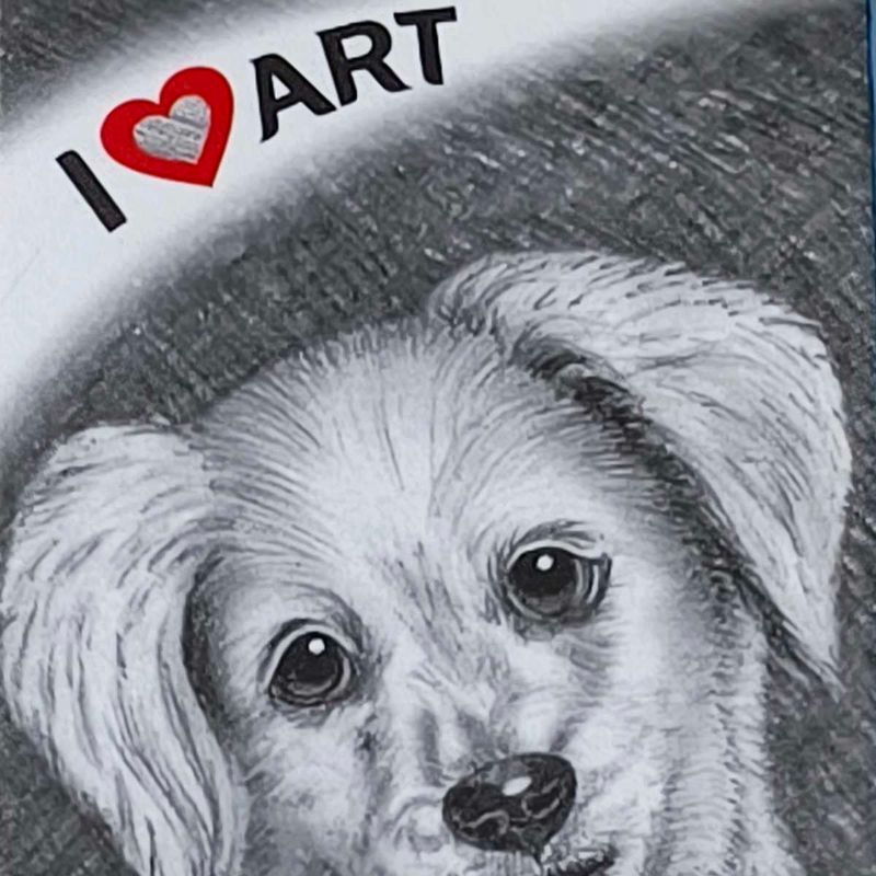 New Artline Sketch Pencil Set for Artists