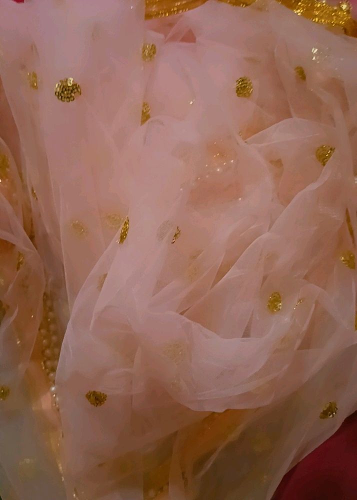 beautiful Baby Pink Colour Anarkali Duppta
