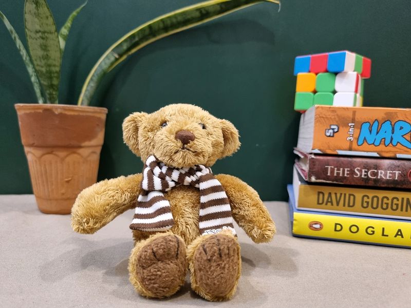 JEJU Mini Teddy Bear