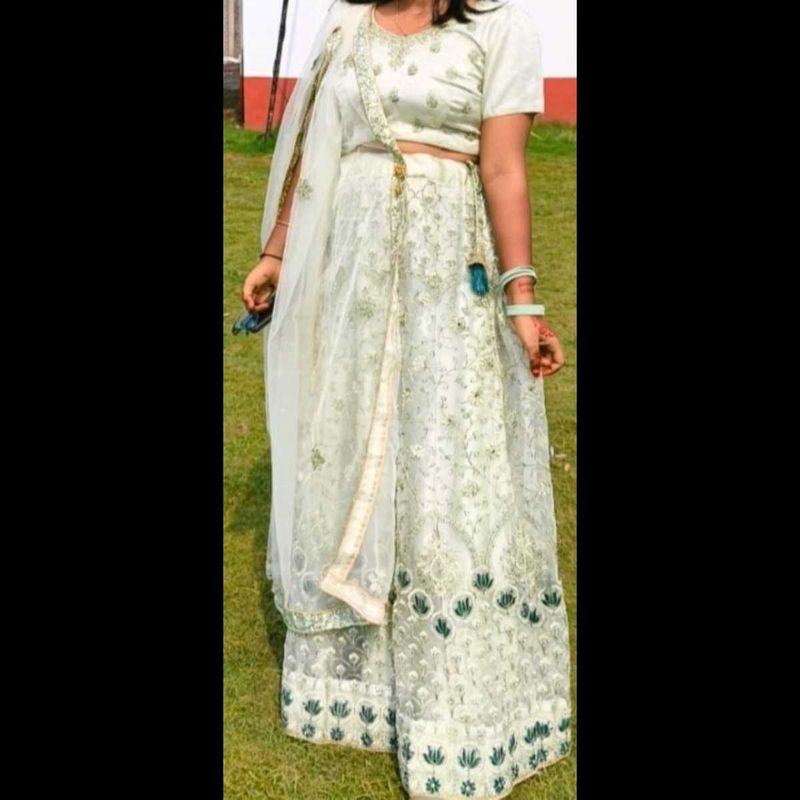 Elegant Embroidered Lehenga Choli Set