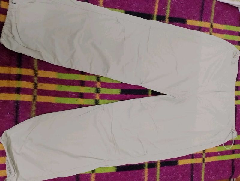 max casual Pants (light green colour)